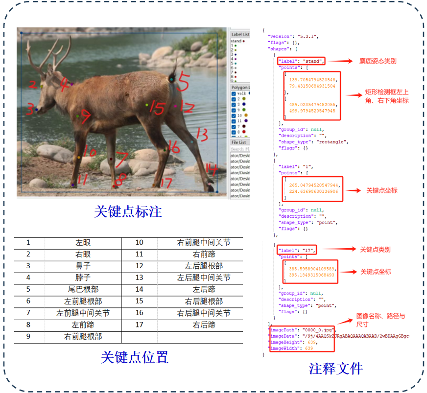 图2.麋鹿图像数据标注