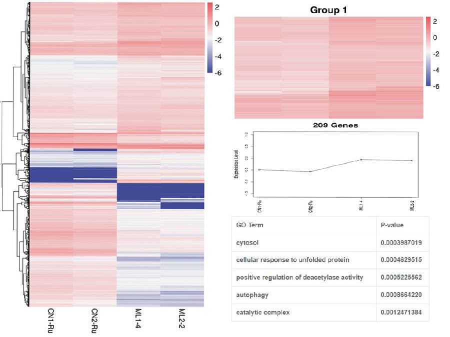 图2.麋鹿和梅花鹿瘤胃差异表达基因聚类