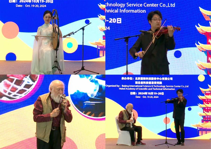 国内的发明乐器表演秀