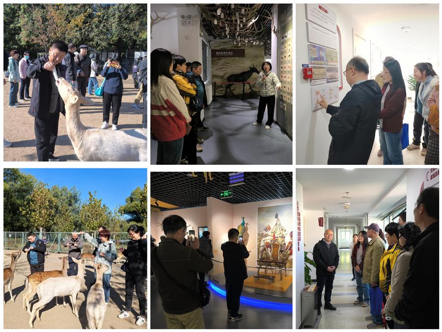 麋鹿苑科普活动