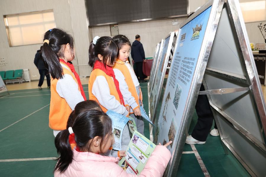 孩子们认真学习科普知识