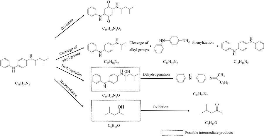 图2 氙灯老化30天后6-PPD的降解路径