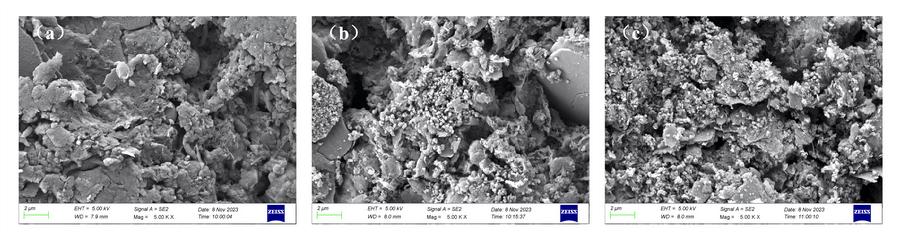 图4.漆渣基生物炭微观形貌