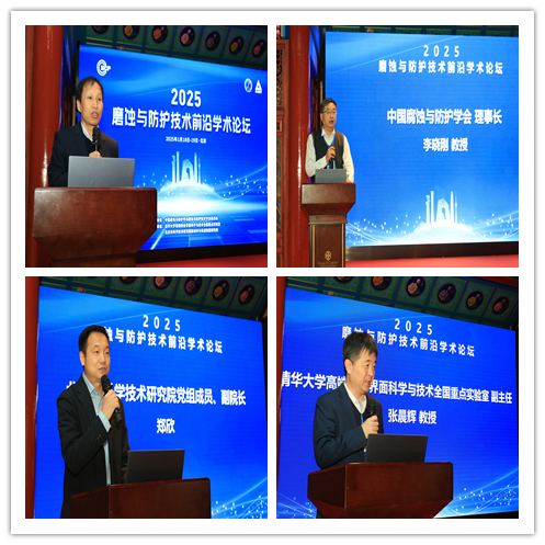 邵天敏（左上）、李晓刚（右上）、郑欣（左下）、张晨辉（右下）