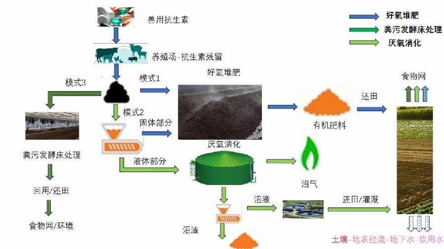 畜禽养殖抗生素产排污和环境归趋示意图