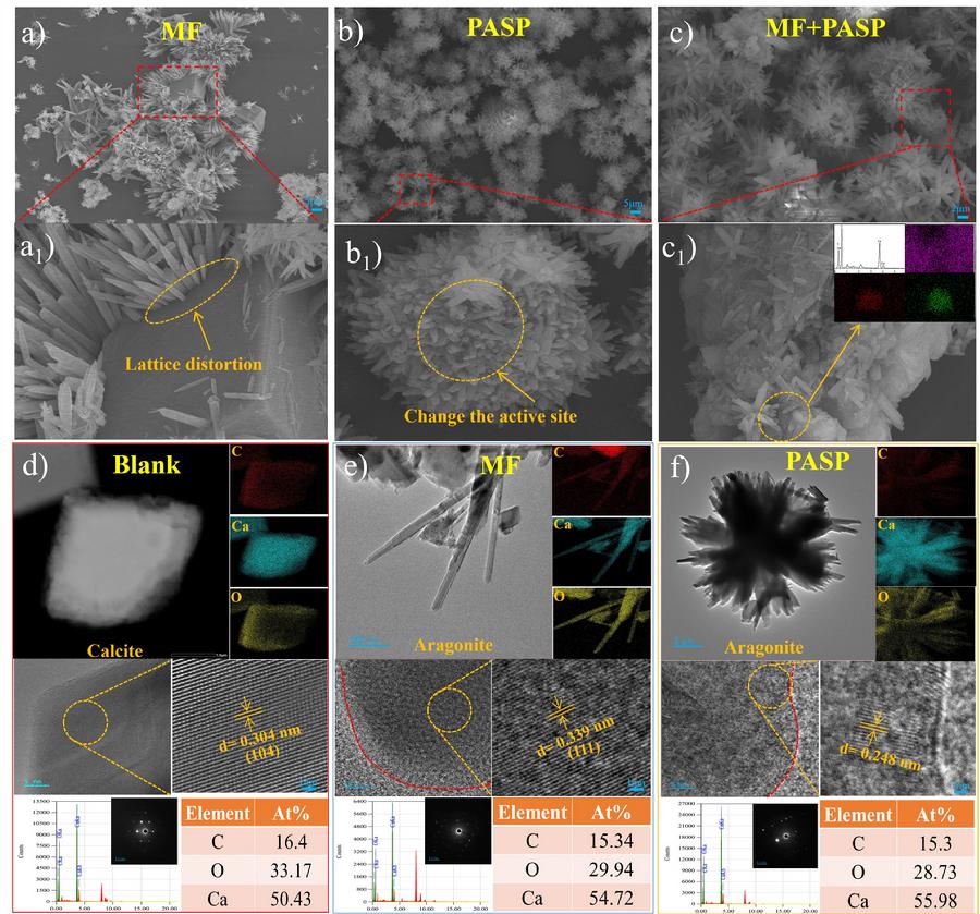 图2.协同处理水垢晶体结构和形貌的变化
