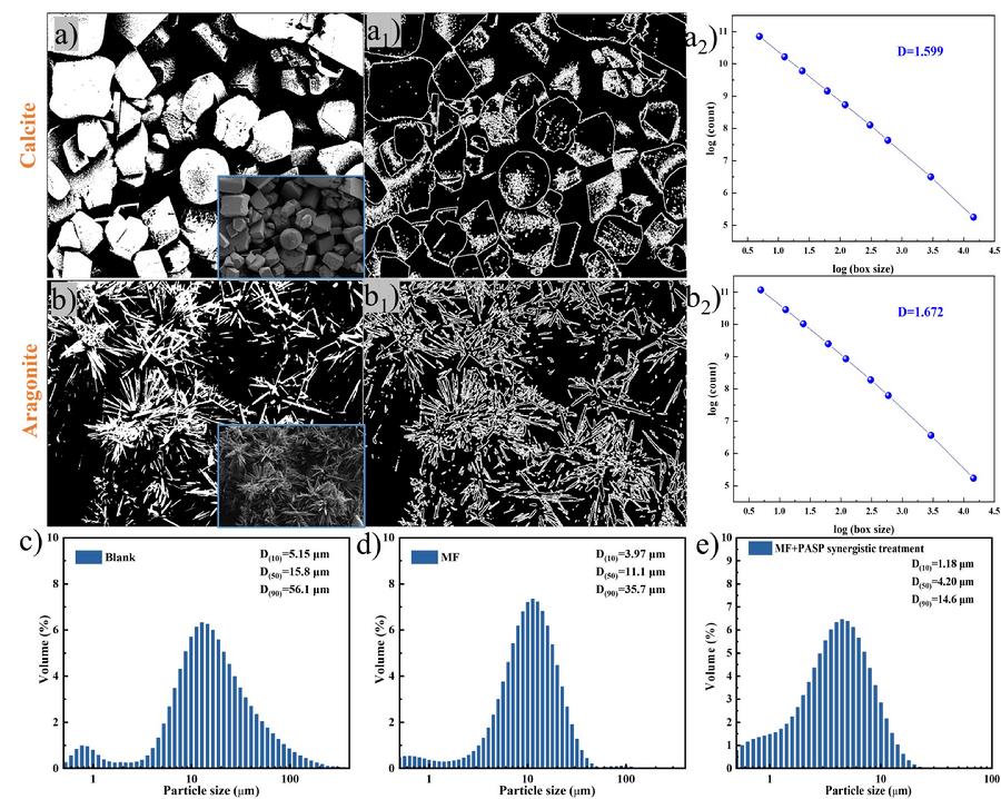 图3.协同处理水垢分形维数和粒径的变化