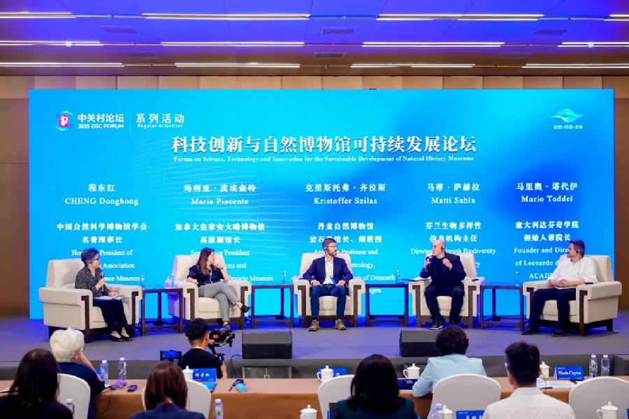 “圆桌对话”环节