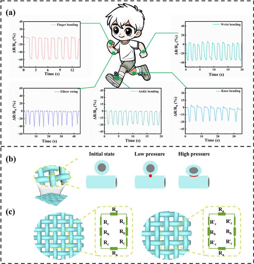 图4.Cu3Se2/CC 传感器在人体运动实时监测中的应用 Carbon 232 (2025) 119814