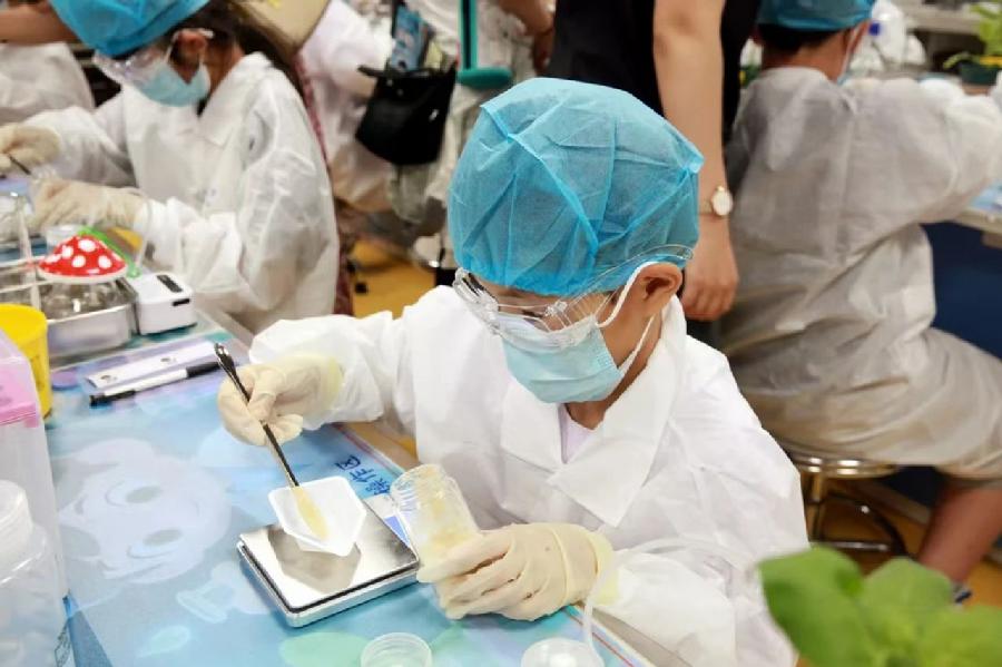 遇见生命之光研学课程