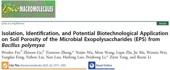 图4.论文发表期刊、题目、作者等信息