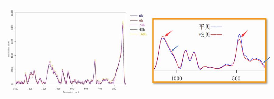图4.基于拉曼光谱真伪鉴别方法