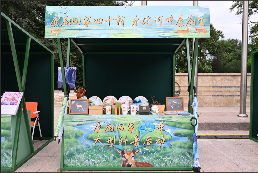 麋鹿中心设计的文创及开展的市集活动