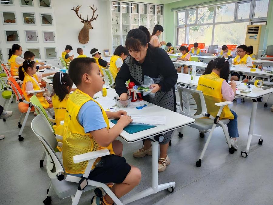 《植物拓印》手工课