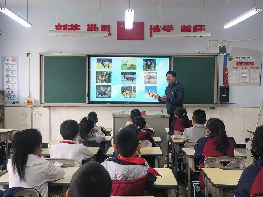 麋豆带你看自然系列研学课程 —— 听荷夜雨