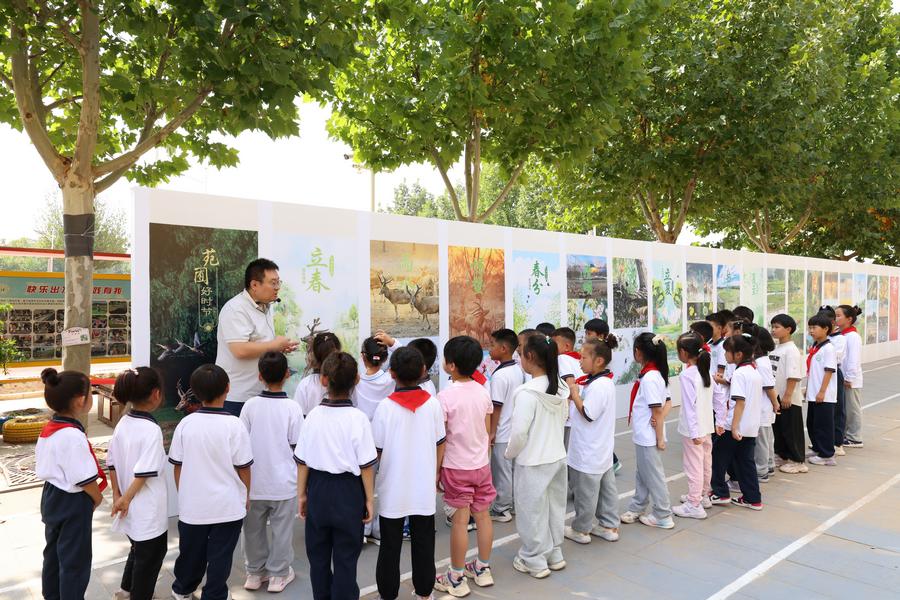 学生听取科学教师讲解