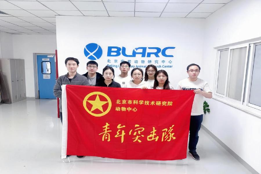 动物中心青年突击队