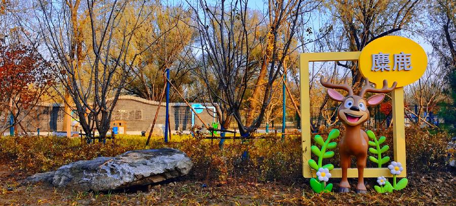 麋鹿和他的朋友们打卡点